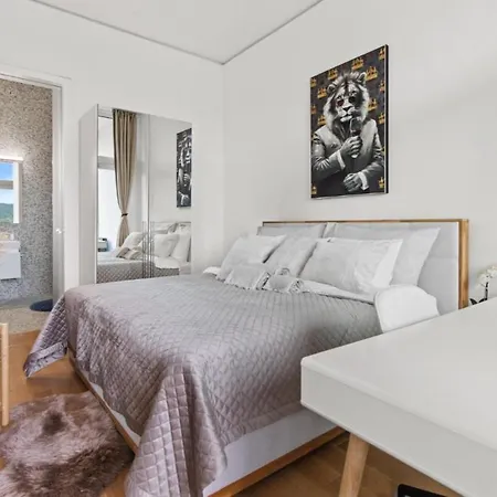Large Luxury Business Penthouse Near Main Station Zuerich